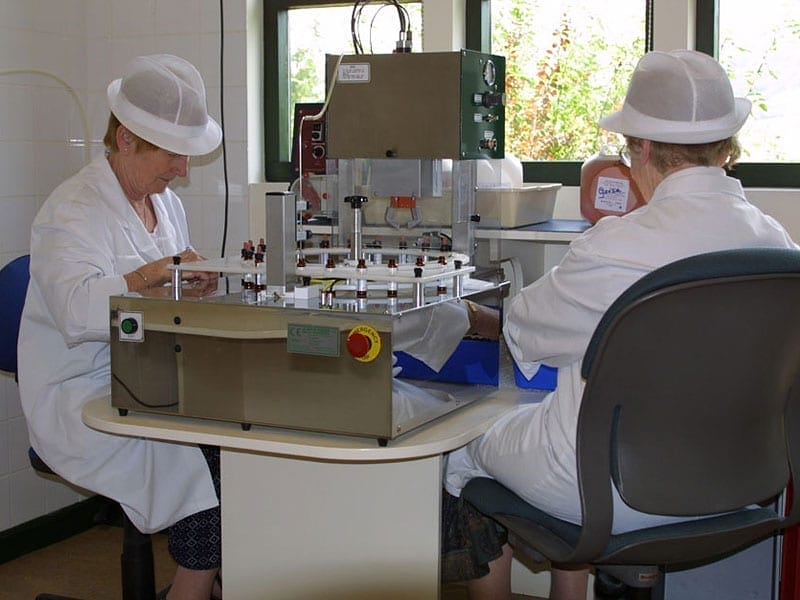 1-filling-1024x682W_1-1